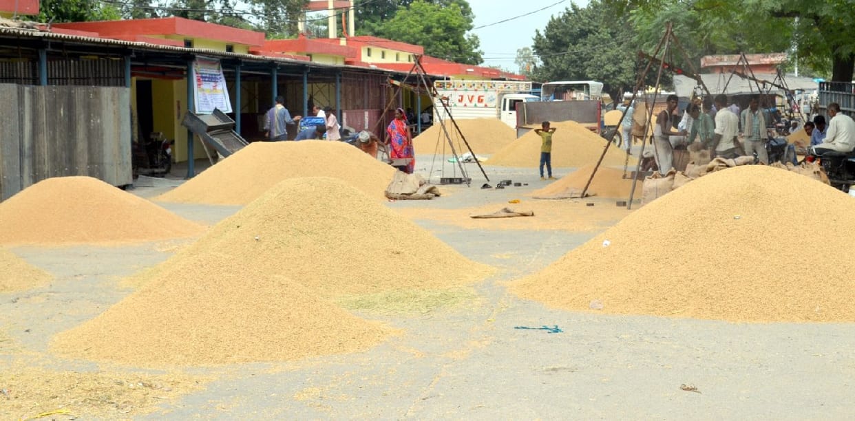 Forcing farmers to sell paddy at Rs 1,000