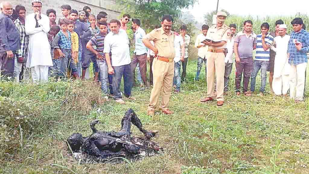 murder of young boy in joya
