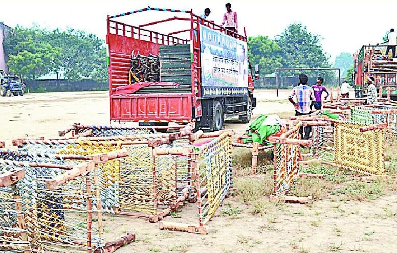 Rose bed, waiting for Rahul