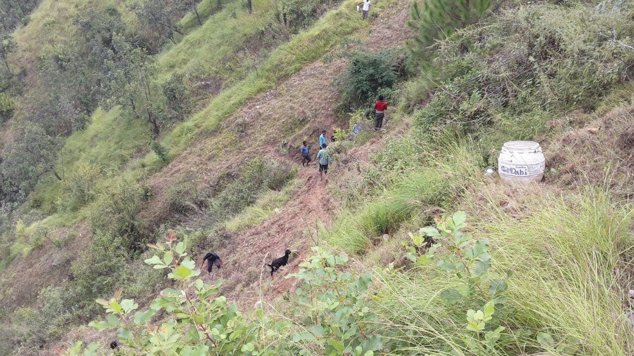 villagers save cow fallen in gorge.