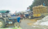 Paddy in grain market was jammed with more to come, Ismailabad, Kurukshetra