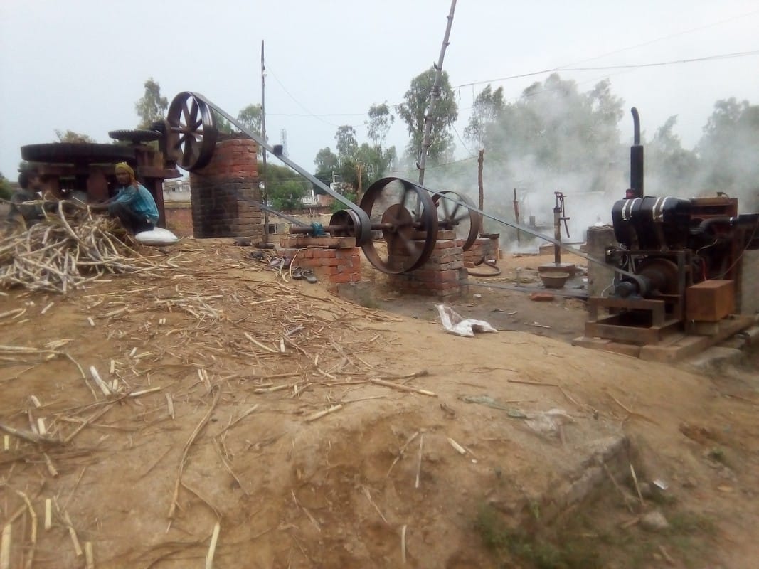 On Kolhuon throwaway Sugarcane purchase price
