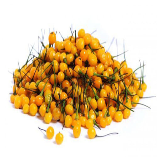 World's Most Expensive Chilli Peppers