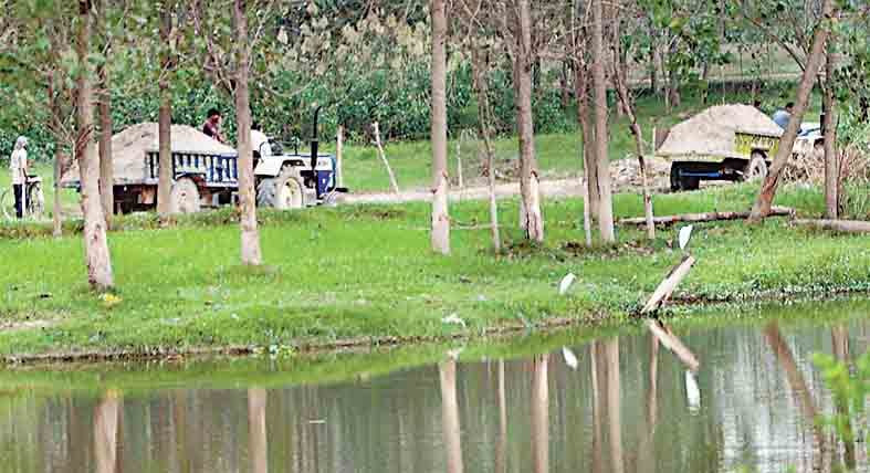 illegal mining in bilaspur