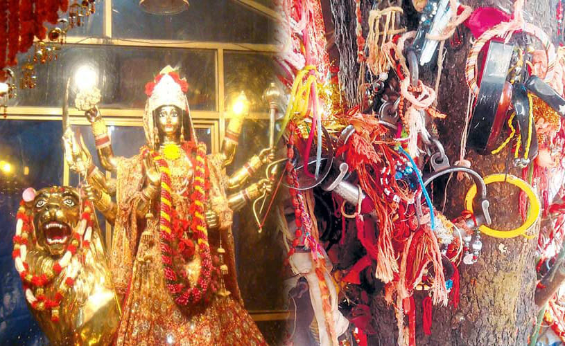 unique goddess temple in rajasthan