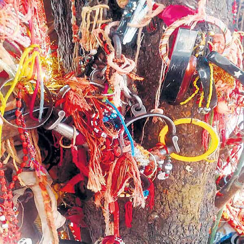 unique goddess temple in rajasthan