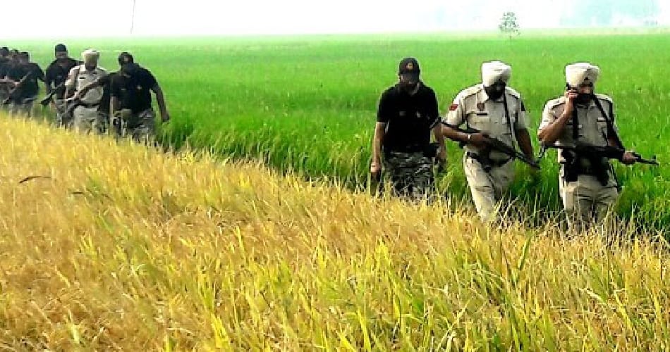 surgical strike in pok and three suspected man seen in farms near batala border