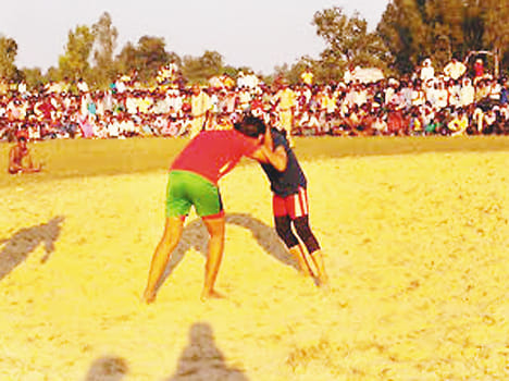 Shown male and female wrestlers tactics
