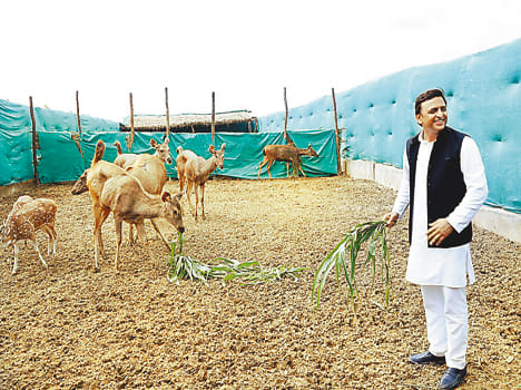 After opening the Deer Safari Tour