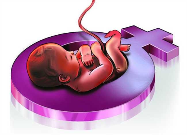 Four months fetus found in Indira colony
