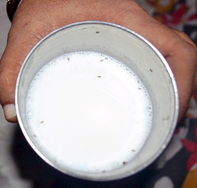 The ants milk distributed Prsutaon