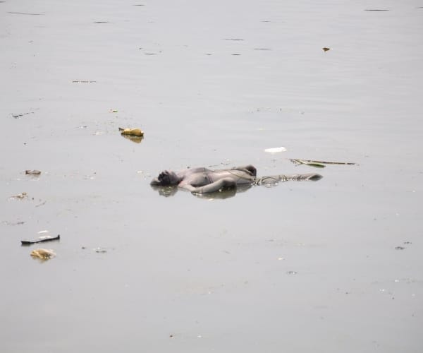 police found body in gomati river.