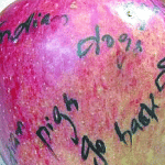 Kashmir : anti-India slogans were written on the apples, agencies Alerts