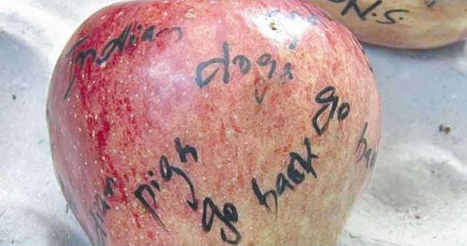 Apple, Kashmir, Terrorism, qoute, Uri Attack, Surgical Strike, indian army, abuse