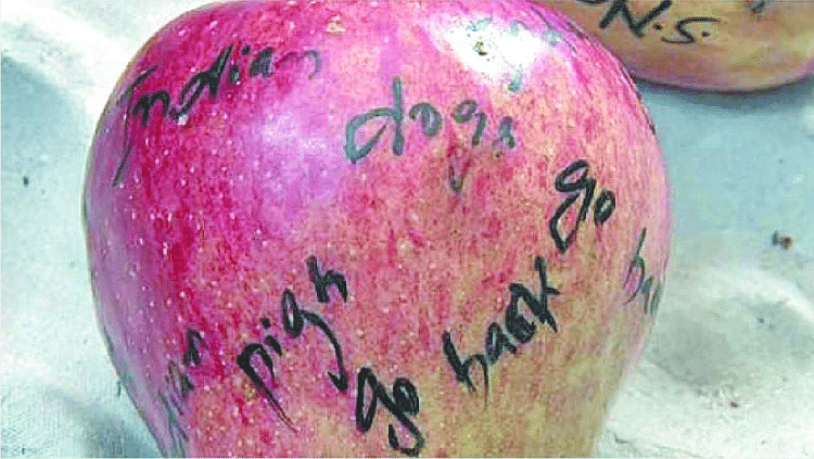 Kashmir : anti-India slogans were written on the apples, agencies Alerts