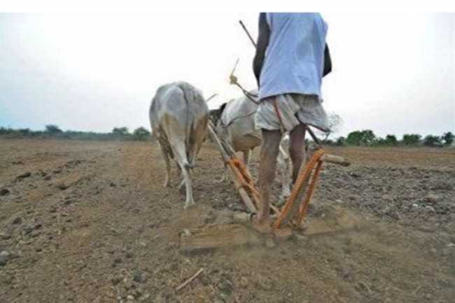 alive farmer show dead for occupied his land