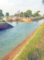 fatehabad, broke, crops , water in farams,  fatehabad,  harayana
