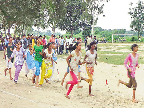 Chhibramau and cassava dominate