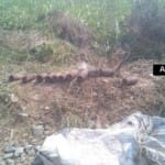 बार्डर इलाके में 11 बम मिलने से हड़कंप