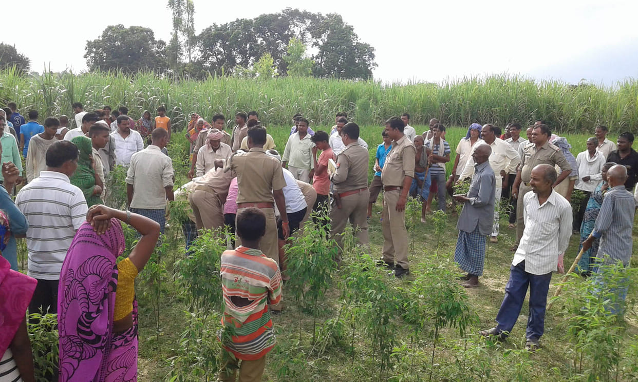 Corpse found in the killing of the youth field