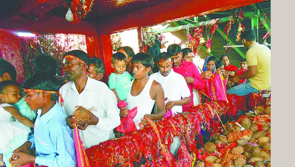 More than ten thousand devotees had darshan Sapthami
