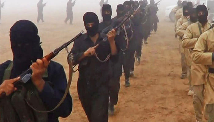 terrorist activities increased on terror launching pads