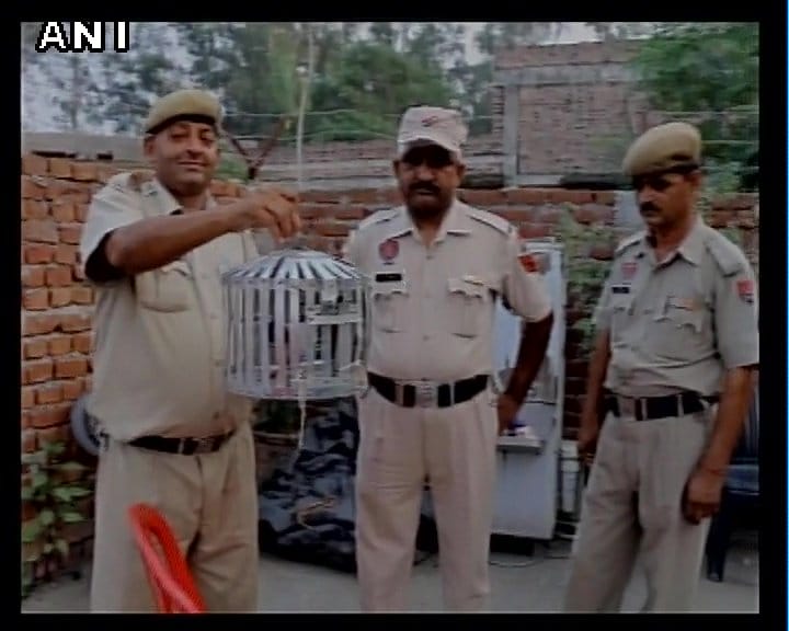 Pakistani, spy peigon, caught by bsf, Pathankot