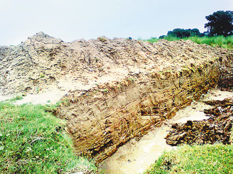 Durga idols are immersed in the pits