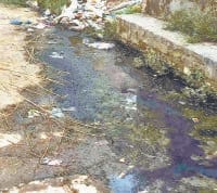 yamuna nagar, fever,attac