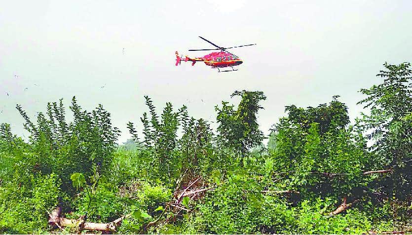 tiger attack DFO in ramnagar forest range