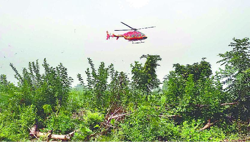 tiger attack DFO in ramnagar forest range