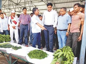 technical agriculture