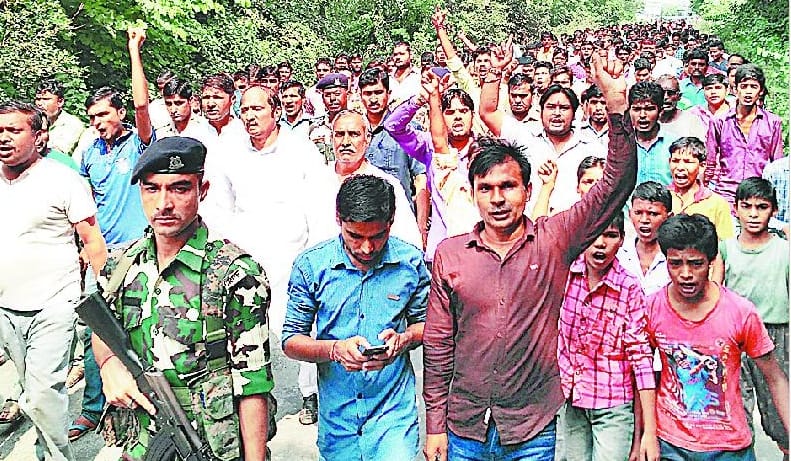 Uproar over the killing of its progeny, stress