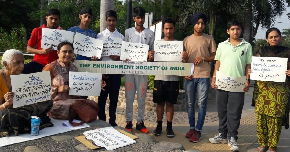 signature campaign to save ducks on sukhna lake by environment society of india