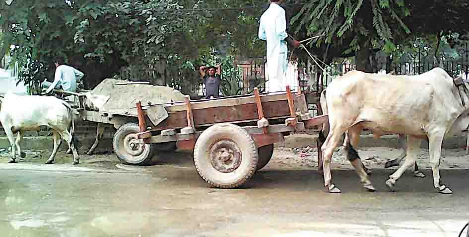 sub inspector suspend