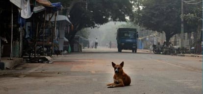fight between two community in trilokpuri in delhi on cricket boll 