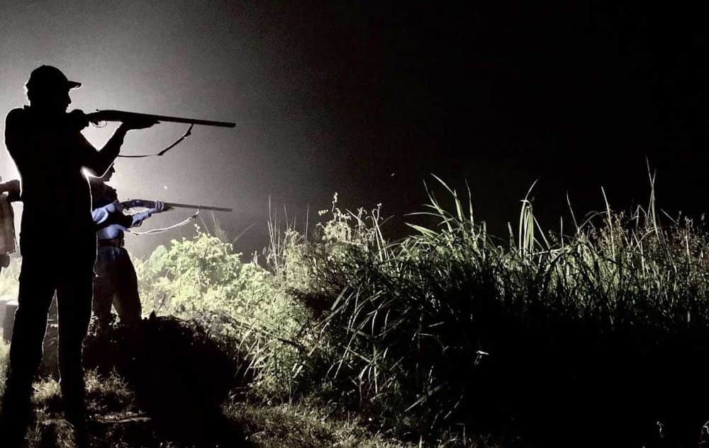 tiger attack DFO in ramnagar forest range