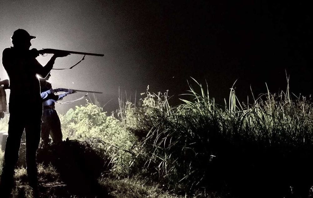 tiger attack DFO in ramnagar forest range