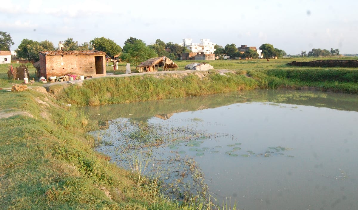 cosins sank in pond, dead