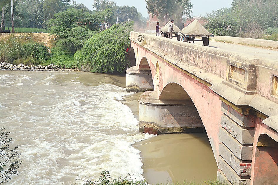 Ganga canal water will stop tomorrow, queen fish in danger