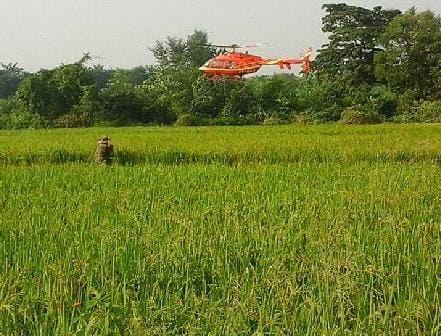 DFO on the tiger attack