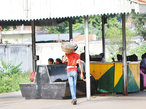 illegal vendors craeting nuisance