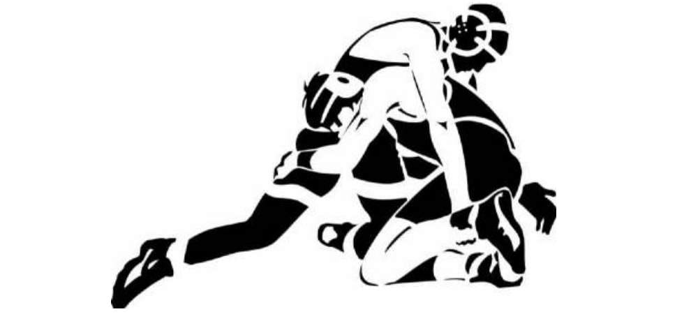 professional training to wrestlers in himachal