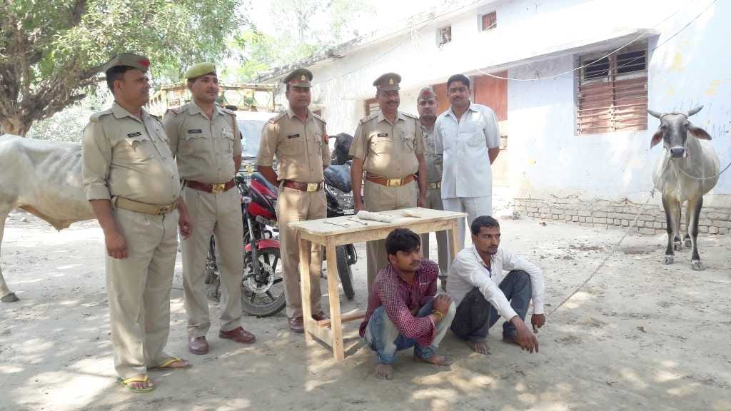 Kadrchauk, Vjirganj Caught in slaughterhouse