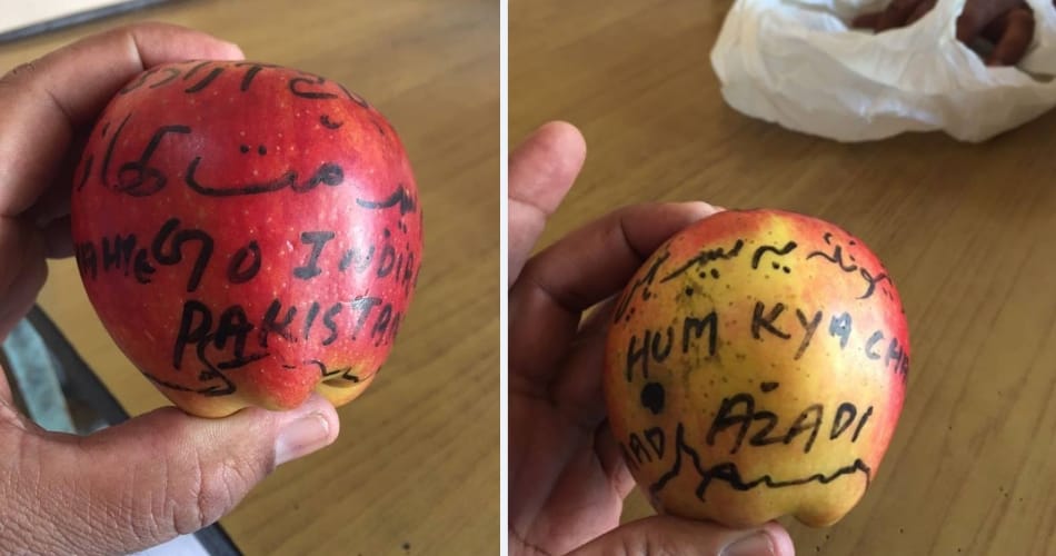 anti india slogans found on apples came from kashmir in radaur of yamunanagar