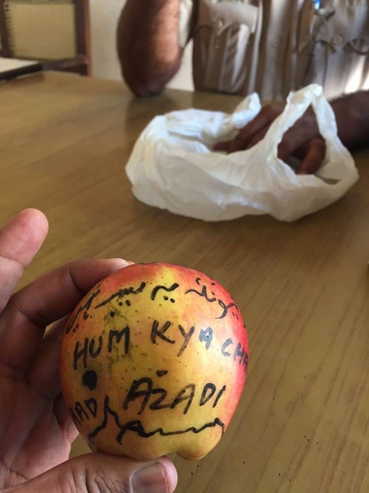 anti india slogans found on apples came from kashmir in radaur of yamunanagar