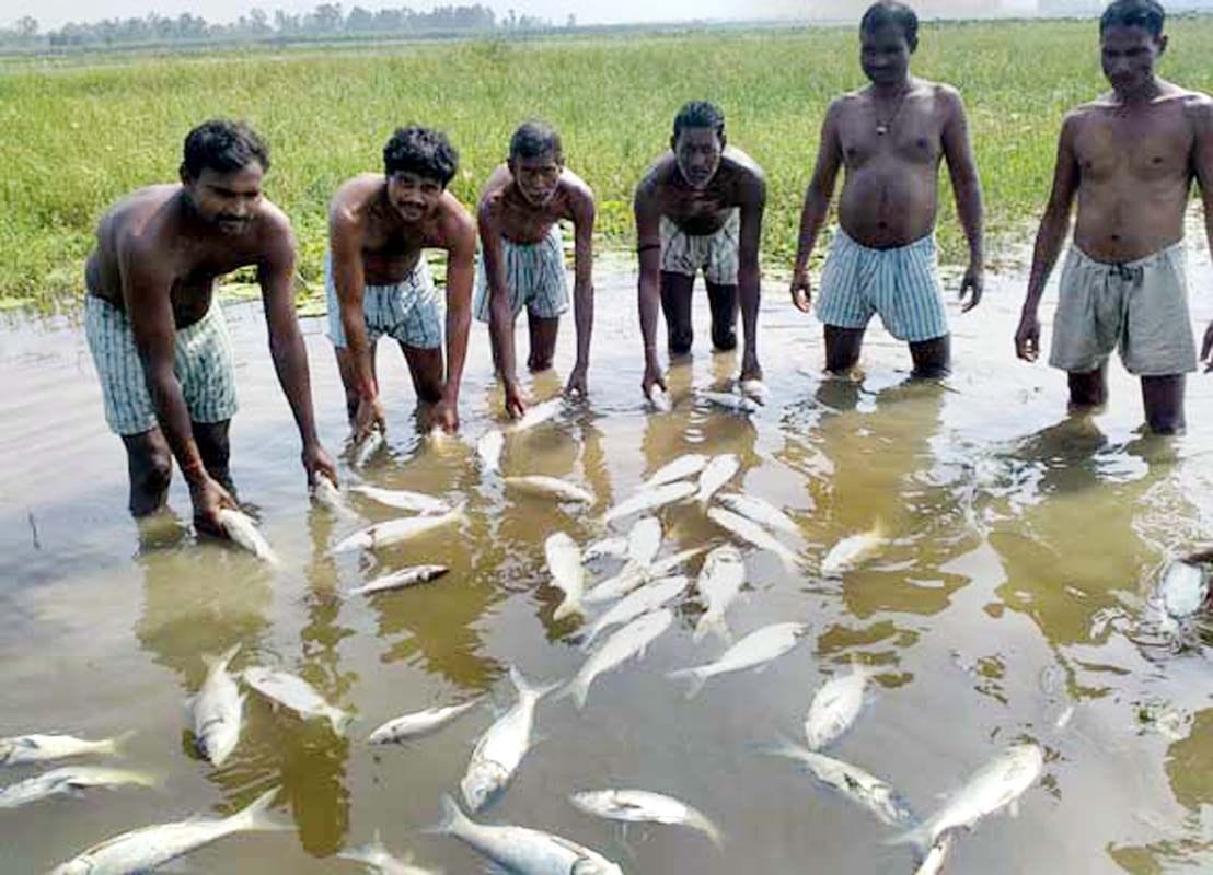 Youth dies due to drowning while fishing in udaipur