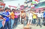 पुतला फूंकते विहप कार्यकर्ता।