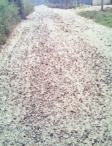 chausana marg hua badhal