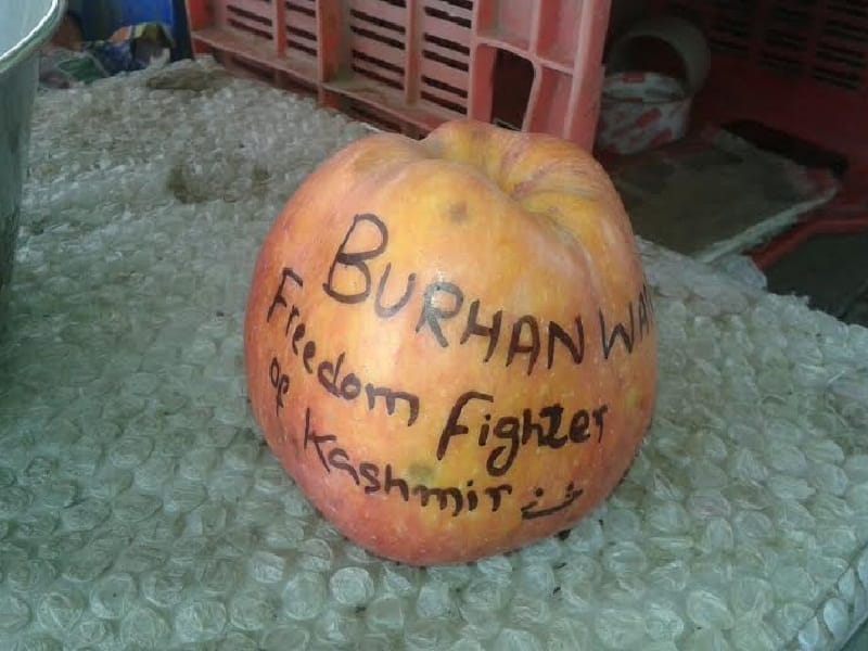 apple found, gurdaspur apple found, message on apple, message for terrorist, amritsar